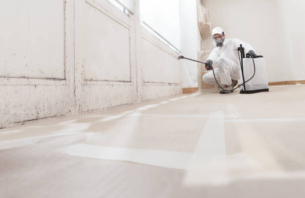 24/7 Emergency Basement Mold Removal experts in Swarthmore, PA